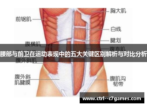 腰部与前卫在运动表现中的五大关键区别解析与对比分析